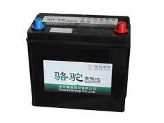 福建价格优惠的骆驼牌蓄电池【供销】 骆驼牌蓄电池