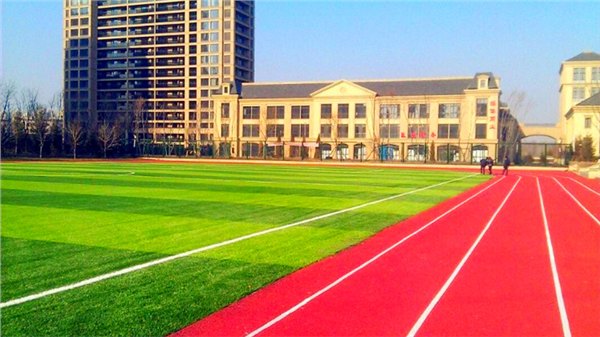 兰州人造草坪面向全国招商 诚招产品代理加盟-森悦