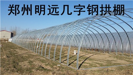 鹤壁安装蔬菜大棚厂家许昌温室大棚建造基地