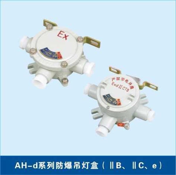BAT51系列防爆泛光灯报价