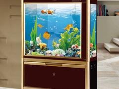 四川哪里有供应精巧别致的鱼缸——重庆水族鱼缸