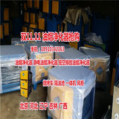 北京朝阳烧烤型油烟净化车是烧烤业老板的得力助手
