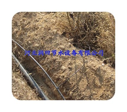 小管出流系统报价 滴灌设备国家补贴 优惠促销