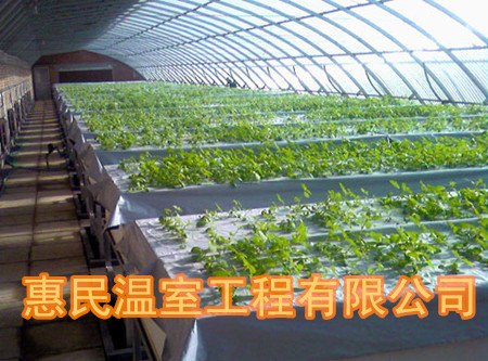 商丘连栋蔬菜大棚建造 鹤壁温室大棚建设注意事项