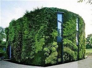 北京室外植物墙|北京室外植物墙公司【免费设计】室