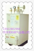 中邦CPEX气化器 50KG/H电热气化器