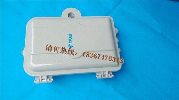电信标准SMC12芯光纤分线箱/光纤分纤箱（图片）