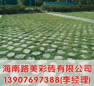 海南路美彩砖有限公司供应优质的海南植草砖