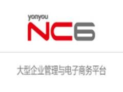 河口企业管理软件：信誉好的NC6推荐