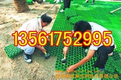 南平黄鳝养殖防渗膜&龙岩绿化种植导水板*/批发价
