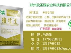 专业的鸡粪喂猪的方法|价格合理的鸡粪喂猪的方法南