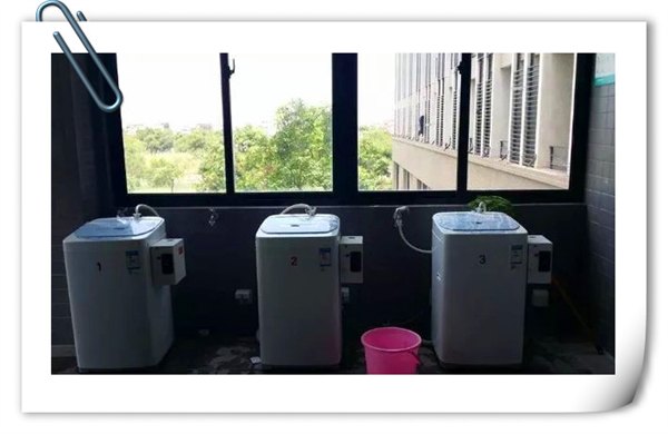 福建投币洗衣机总代理：【荐】优惠的投放投币洗
