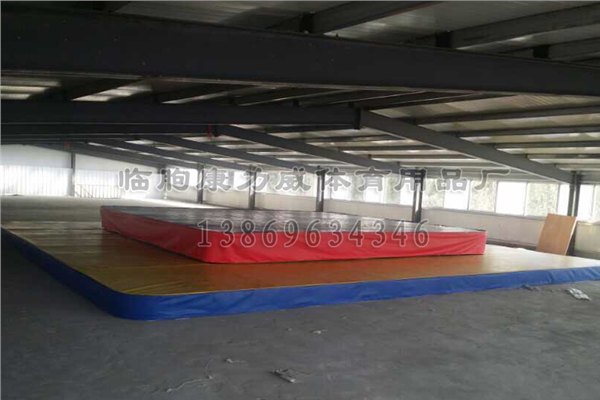 选购优惠的散打擂台，就来康力威体育用品|销售散打