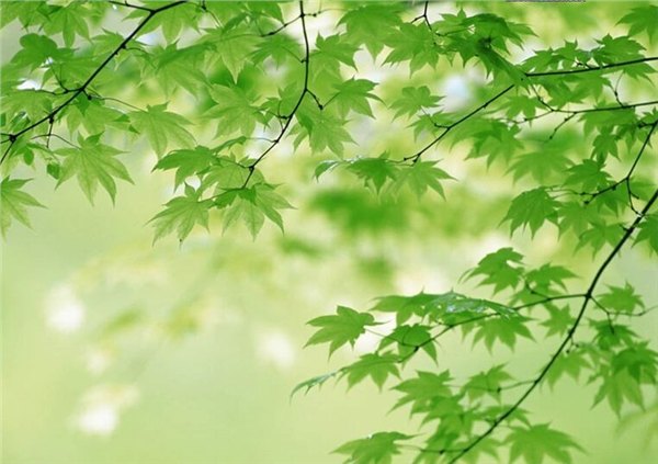 医疗器皿/玻璃管等医疗器械激光刻字刻logo镭射