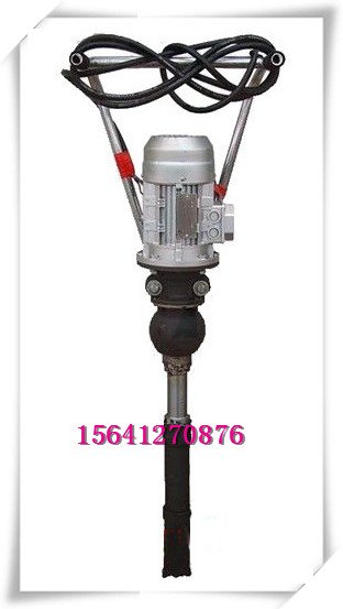 Z3G-250电动捣固机_