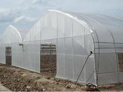 想建薄膜温室大棚就到睿农温室大棚设备|广西养殖大