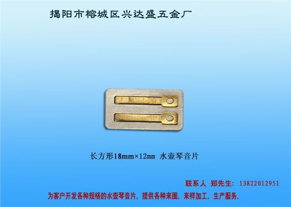 天津琴音片加工、天津水壶琴音片生产、兴达盛水壶发音片厂