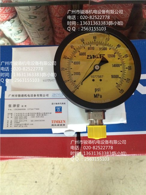 供应SKF压力表1077587,1077587/2,TMJG100D等
