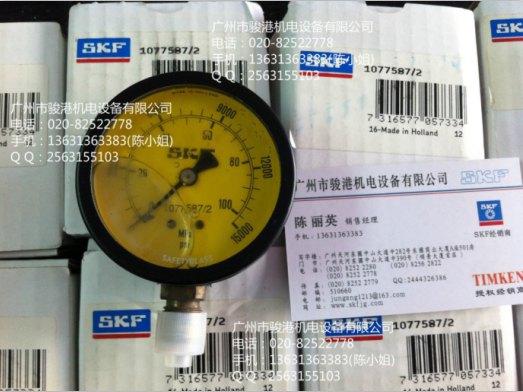 供应SKF压力表1077589,1077589/2,THGD100等