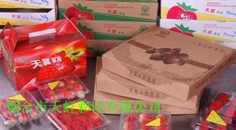 草莓水果礼盒