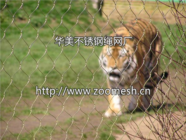 老虎用金属丝网围栏
