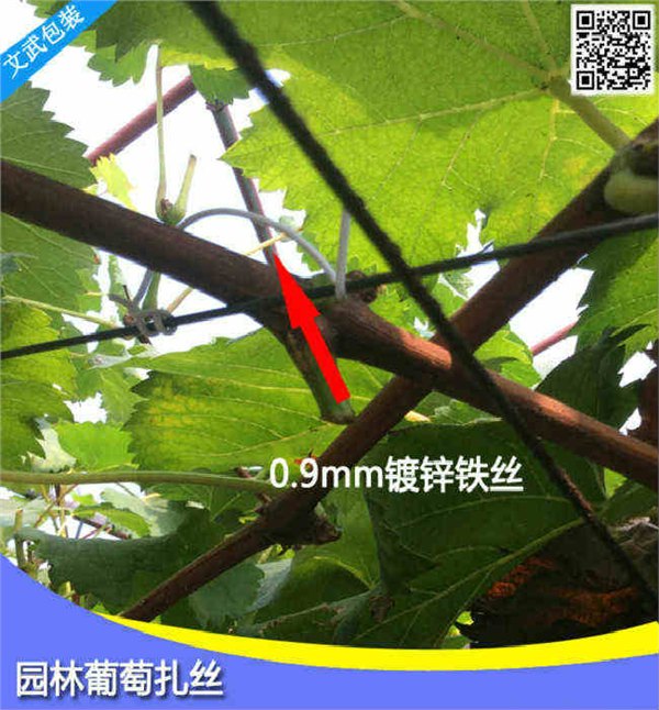 正品保证葡萄枝蔓扎丝葡萄架捆带 第四代园林扎丝山葫芦蔓铁扎丝