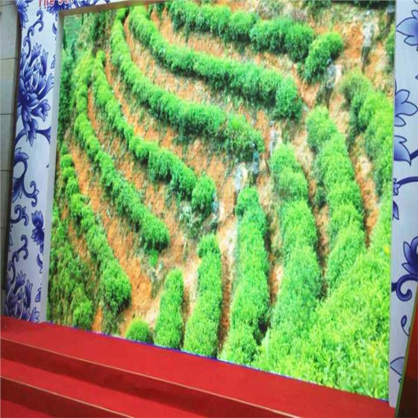 厂家批发销售户外P8防水全彩高清LED显示屏