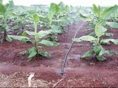 为您推荐质量好的南宁水肥一体化 ：玉林水肥一体化