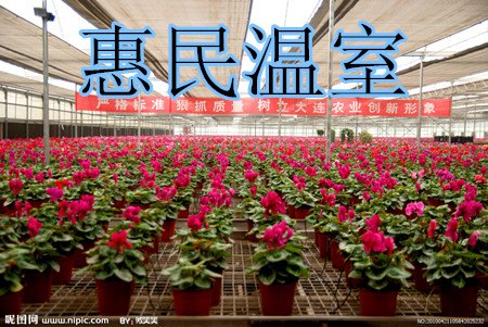 山西临汾哪里有专业建设花卉温室大棚公司