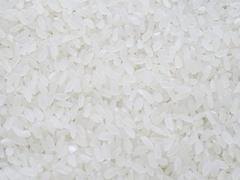 超值的鱼台大米【供销】：大米加工