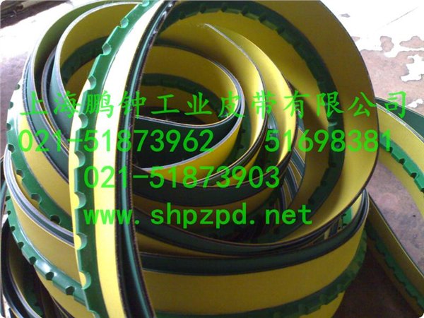 特价皮带加导条价格合理pz
