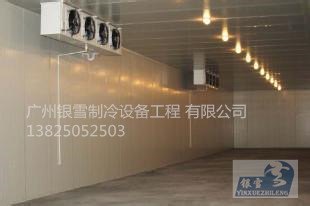 顺德水果保鲜冷库：广州银雪冷库公司-建个优质的水