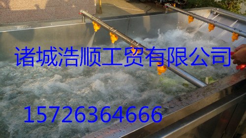供应浙江蔬菜清洗机  