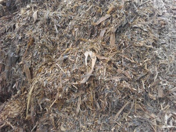 【不好才怪】山东牛羊青贮草料厂/牛羊草料价格