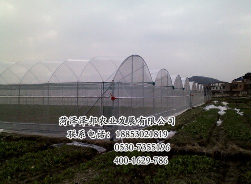 菏泽温室卡槽供应商 温室卡槽批发市场