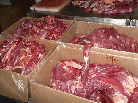 冷冻鹿肉 冷冻鹿肉批发价格 冷冻鹿肉批发厂家 进口鹿肉供应商