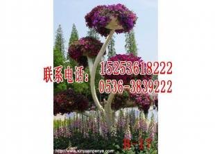 立体花盆厂家批发价格
