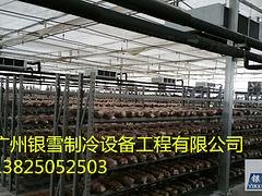 位于广州知名的广州冷库工程冷库安装公司，冷库安装