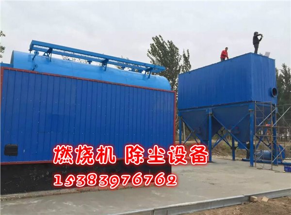 沧州链条燃煤锅炉改造项目申请报告 永蓝公司设计安装燃煤锅炉改造