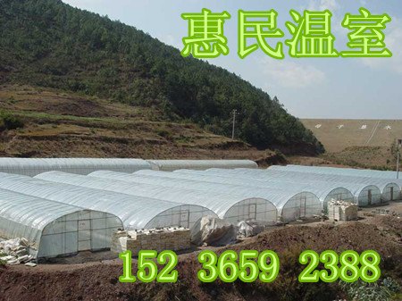 找郑州好的蔬菜大棚建设公司 就选惠民温室