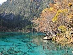 宝鸡九寨沟旅游 服务好的铂金双卧六日游推荐