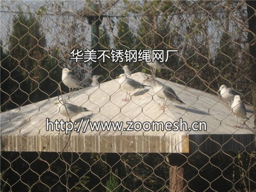 不锈钢丝网、不锈钢金属丝网哪里买？华美专供不锈钢