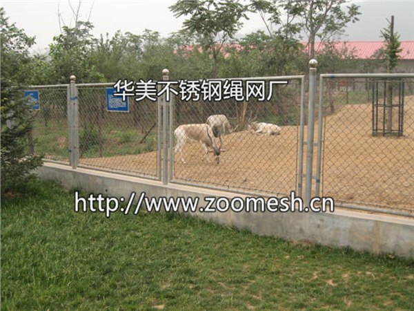 长颈鹿笼舍——石家庄高级的食草类动物围网【特价供
