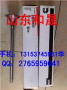铣刨机康明斯QSX15气门到货4101454气门维修必备