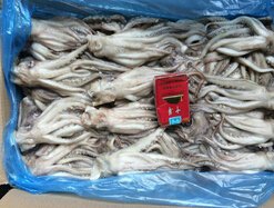 阿根廷鱿鱼头--纯正野生品质