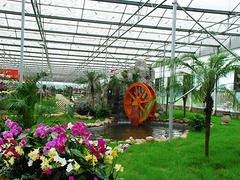 盈丰温室工程公司优质的花卉温室大棚建造推荐，新式