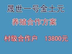 土元养殖，洛阳可信赖的土元养殖合作公司，当属