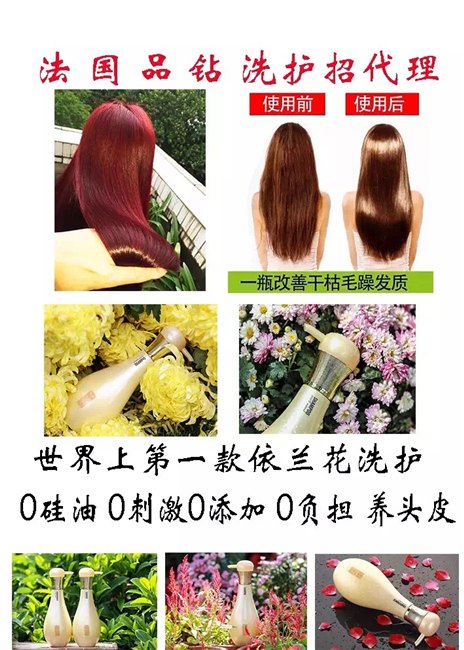 法国品钻依兰花|法国品钻依兰花加盟|法国品钻依兰