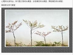 海南专业的海南心理咨询哪里有：三亚心理咨询服务