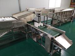 优质的酒店专用洗碗机淄博厂家直销|酒店全自动洗碗